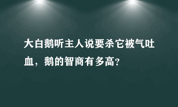 大白鹅听主人说要杀它被气吐血,鹅的智商有多高?