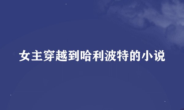 女主穿越到哈利波特的小说