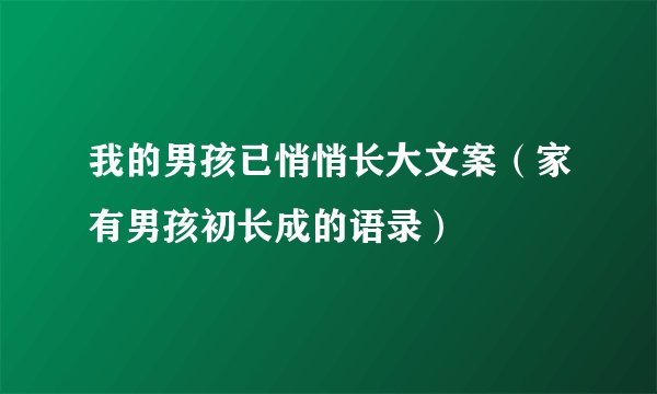我的男孩已悄悄长大文案（家有男孩初长成的语录）