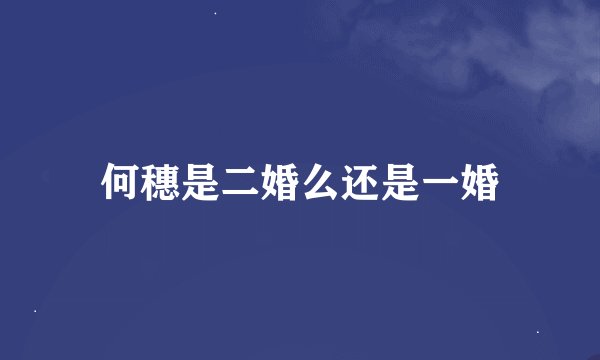 何穗是二婚么还是一婚