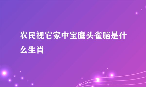 农民视它家中宝鹰头雀脑是什么生肖
