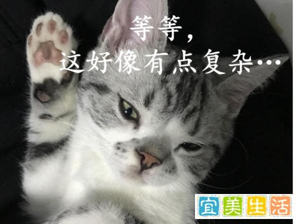 游“野泳”不幸溺亡,家属要求岸边农家乐和相关部门赔偿166万余元,法院怎么判?