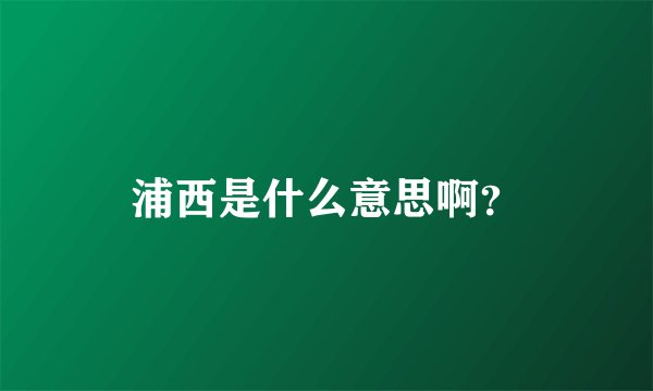 浦西是什么意思啊？