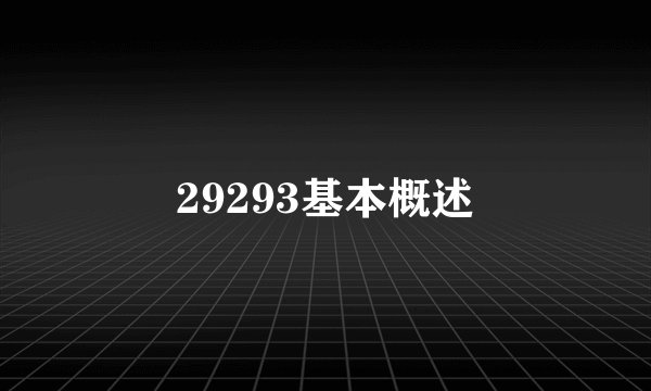 29293基本概述