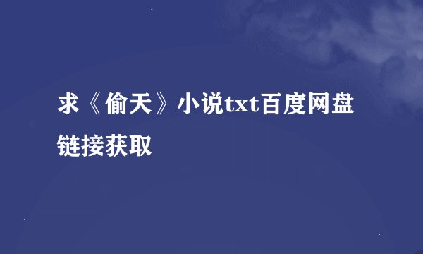求《偷天》小说txt百度网盘链接获取