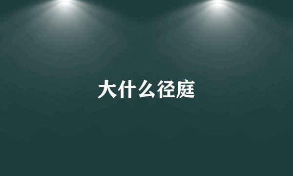 大什么径庭