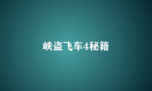 峡盗飞车4秘籍