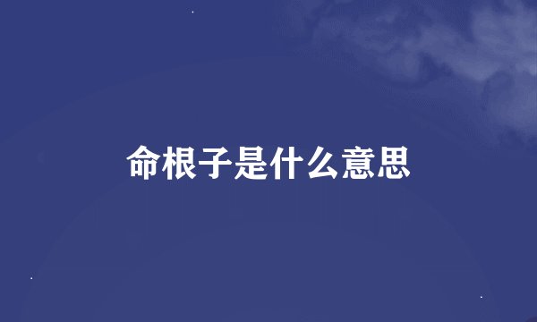 命根子是什么意思