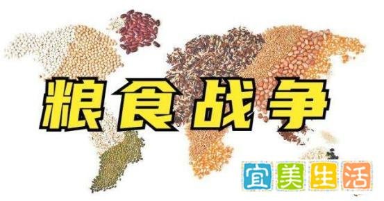 乌克兰禁止出口小麦等主食，对世界粮食安全是毁灭性打击？