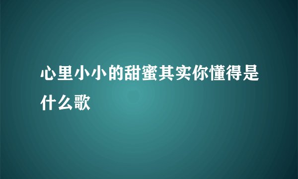 心里小小的甜蜜其实你懂得是什么歌