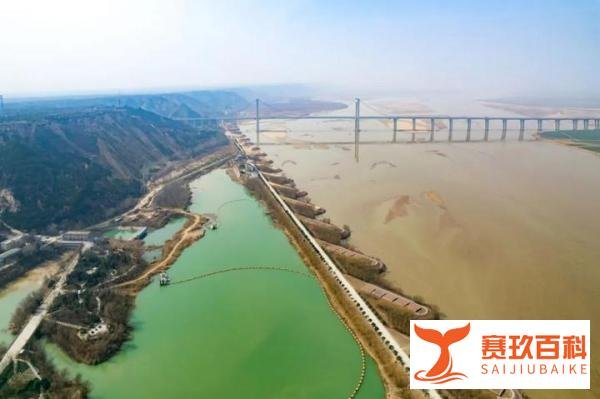 1.26亿，河南“赌”赢了山东，却没有输家