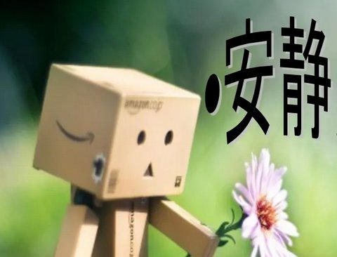 安静的近义词
