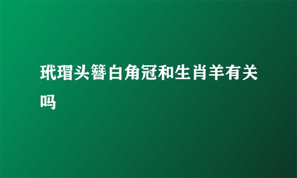 玳瑁头簪白角冠和生肖羊有关吗