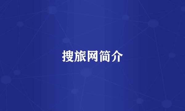 搜旅网简介