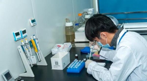 湖南永顺对全县公职人员进行毛发验毒,网友:建议全国推广