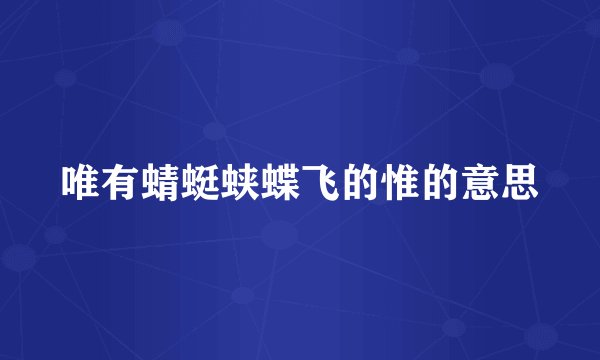 唯有蜻蜓蛱蝶飞的惟的意思
