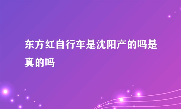 东方红自行车是沈阳产的吗是真的吗