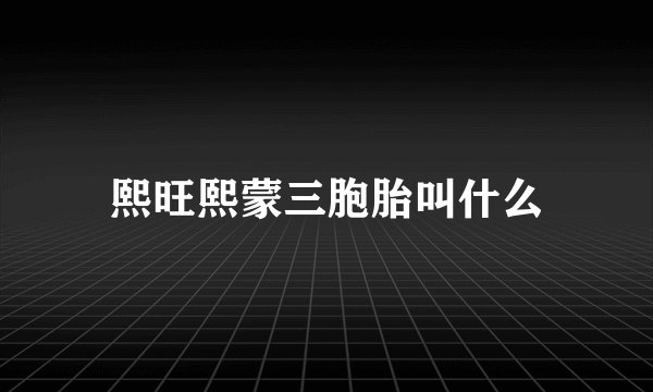 熙旺熙蒙三胞胎叫什么