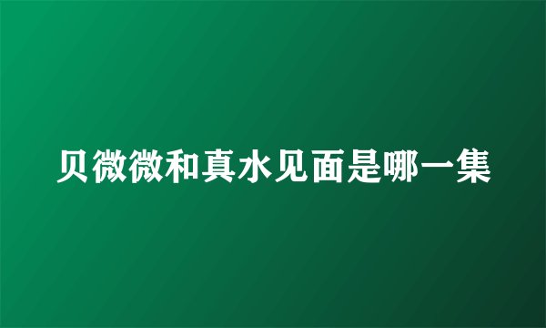 贝微微和真水见面是哪一集