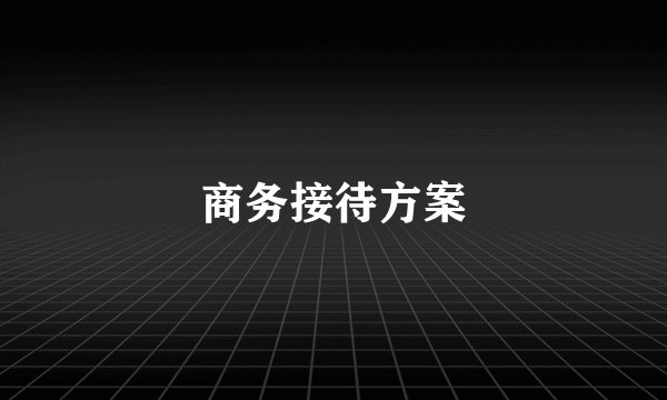 商务接待方案