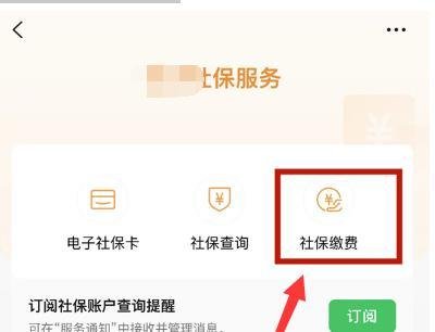 辽宁省新农合怎么网上缴费