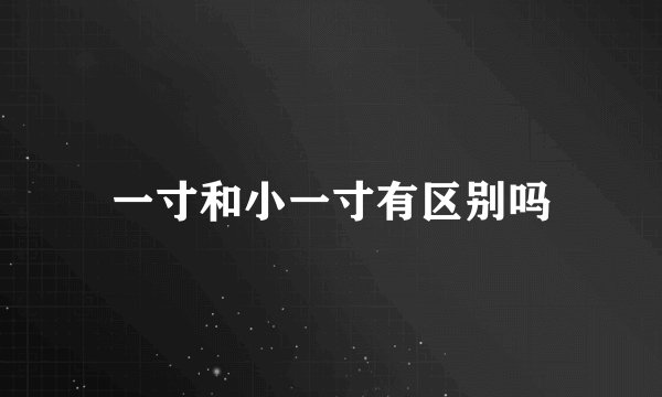 一寸和小一寸有区别吗