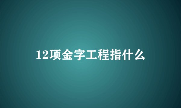 12项金字工程指什么