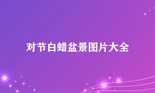 对节白蜡盆景图片大全