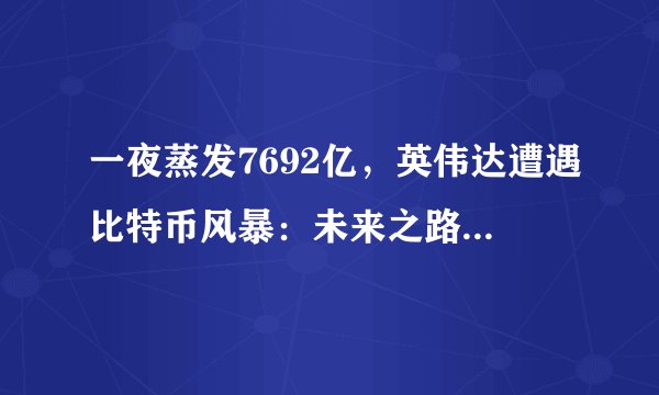 一夜蒸发7692亿，英伟达遭遇比特币风暴：未来之路在何方？