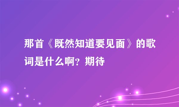 那首《既然知道要见面》的歌词是什么啊？期待