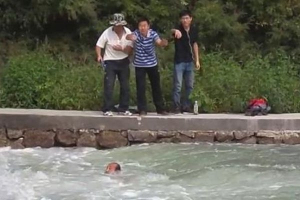 获救男孩妈妈向救命恩马致歉,她是怎么说的?