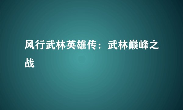 风行武林英雄传：武林巅峰之战