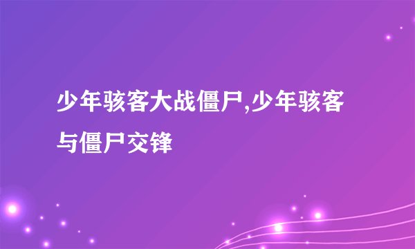 少年骇客大战僵尸,少年骇客与僵尸交锋