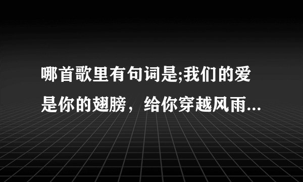 哪首歌里有句词是;我们的爱是你的翅膀，给你穿越风雨的力量，你的微笑是我们的信仰。