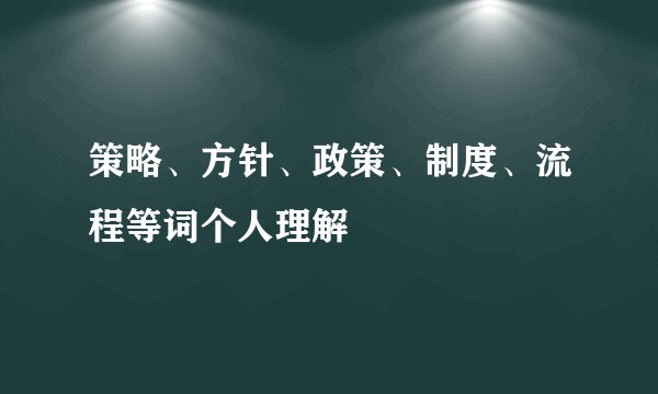 策略、方针、政策、制度、流程等词个人理解