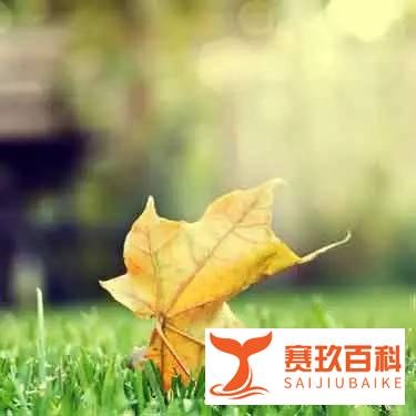 处暑，出暑了吗
