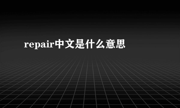repair中文是什么意思