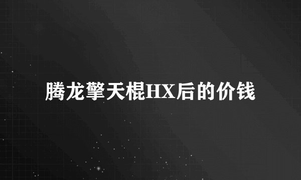 腾龙擎天棍HX后的价钱