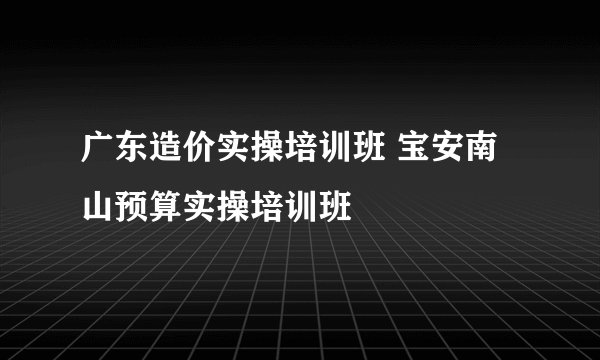广东造价实操培训班 宝安南山预算实操培训班