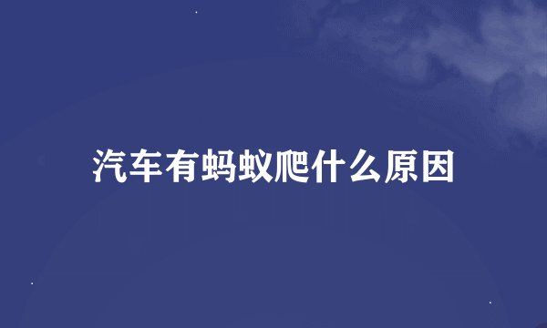 汽车有蚂蚁爬什么原因