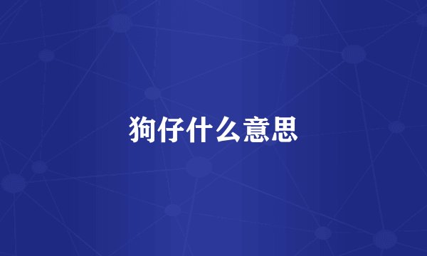 狗仔什么意思