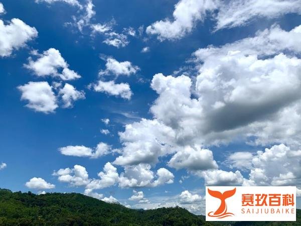 2021314,我的,美好的文案