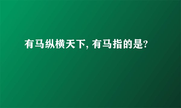 有马纵横天下, 有马指的是?