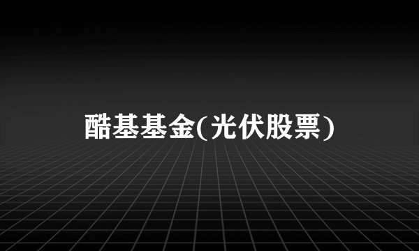 酷基基金(光伏股票)