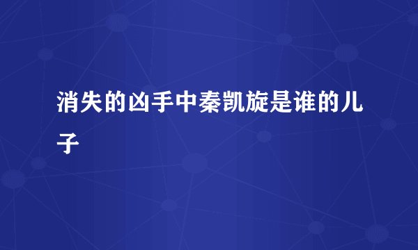消失的凶手中秦凯旋是谁的儿子