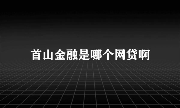 首山金融是哪个网贷啊