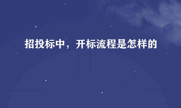 招投标中，开标流程是怎样的