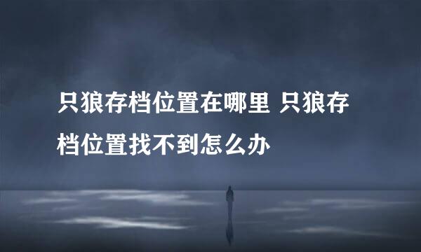 只狼存档位置在哪里 只狼存档位置找不到怎么办