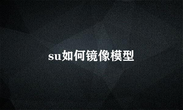 su如何镜像模型