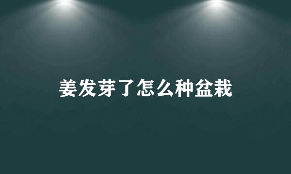姜发芽了怎么种盆栽